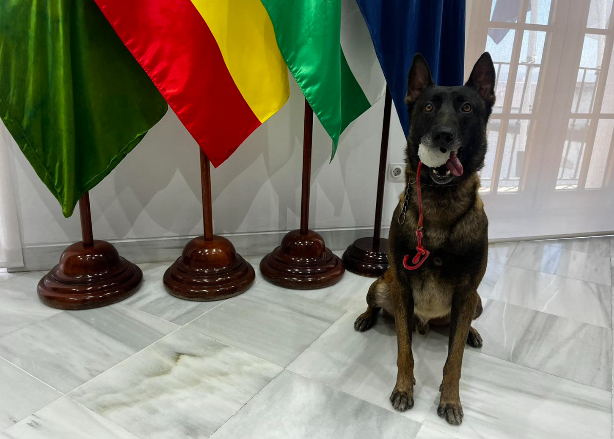 Karin, el nuevo perro policía de Vejer.