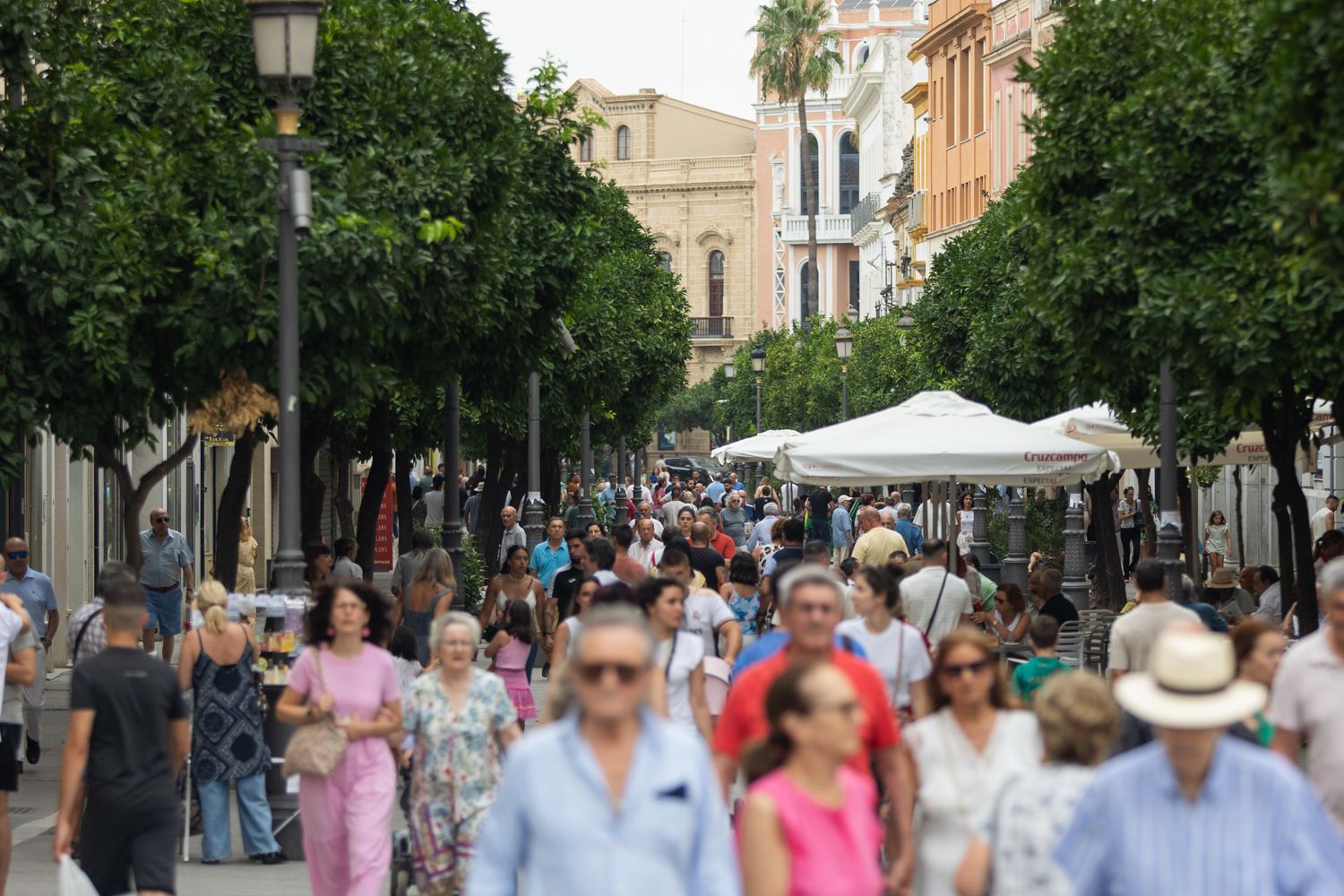 La calle Larga este verano en Jerez.