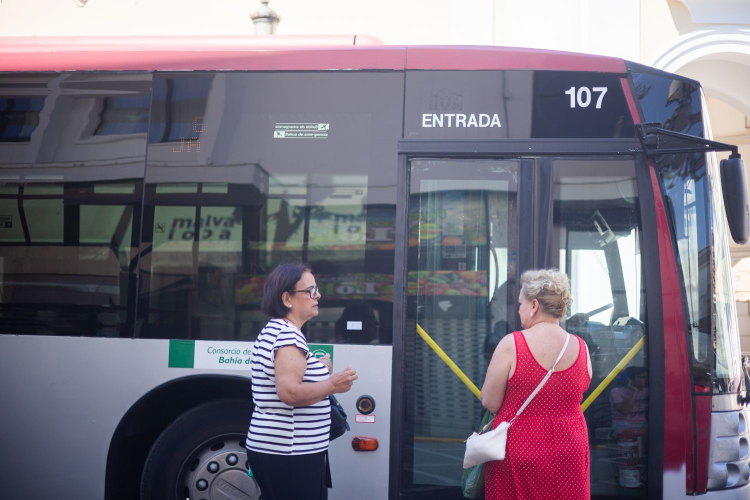 Autobuses urbanos en Jerez, en una imagen reciente.