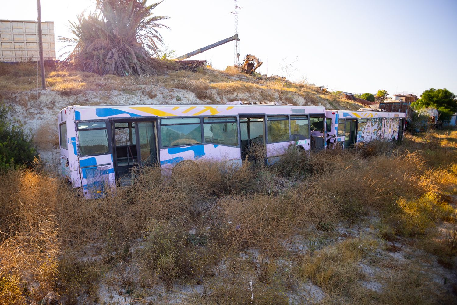 Dos autobuses rosas, en una chatarrería de El Portal.