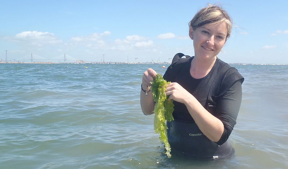 La investigadora de la Universidad de Cádiz, Fini Sánchez García, recogiendo muestras de lechuga de mar.