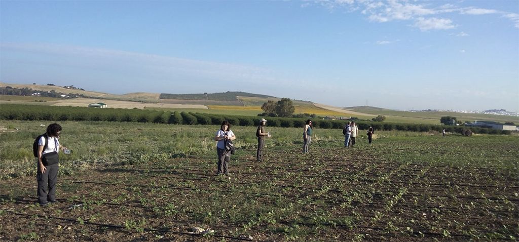 Los trabajos en la zona de Bornos para identificar restos de El Cañuelo.