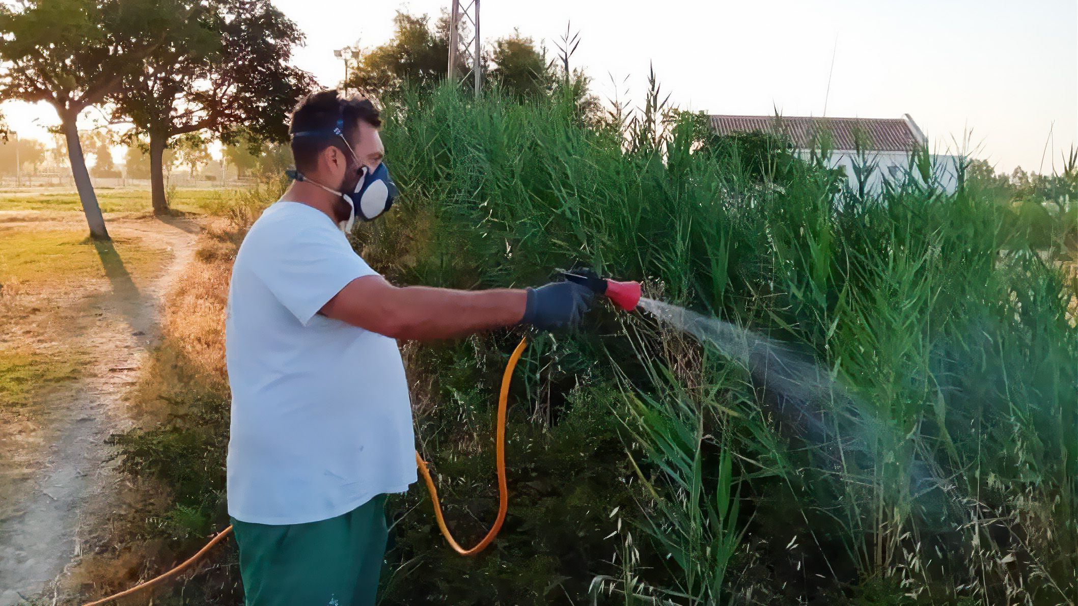 Labores de fumigación contra los mosquitos en un pueblo de Sevilla, en una imagen de archivo.