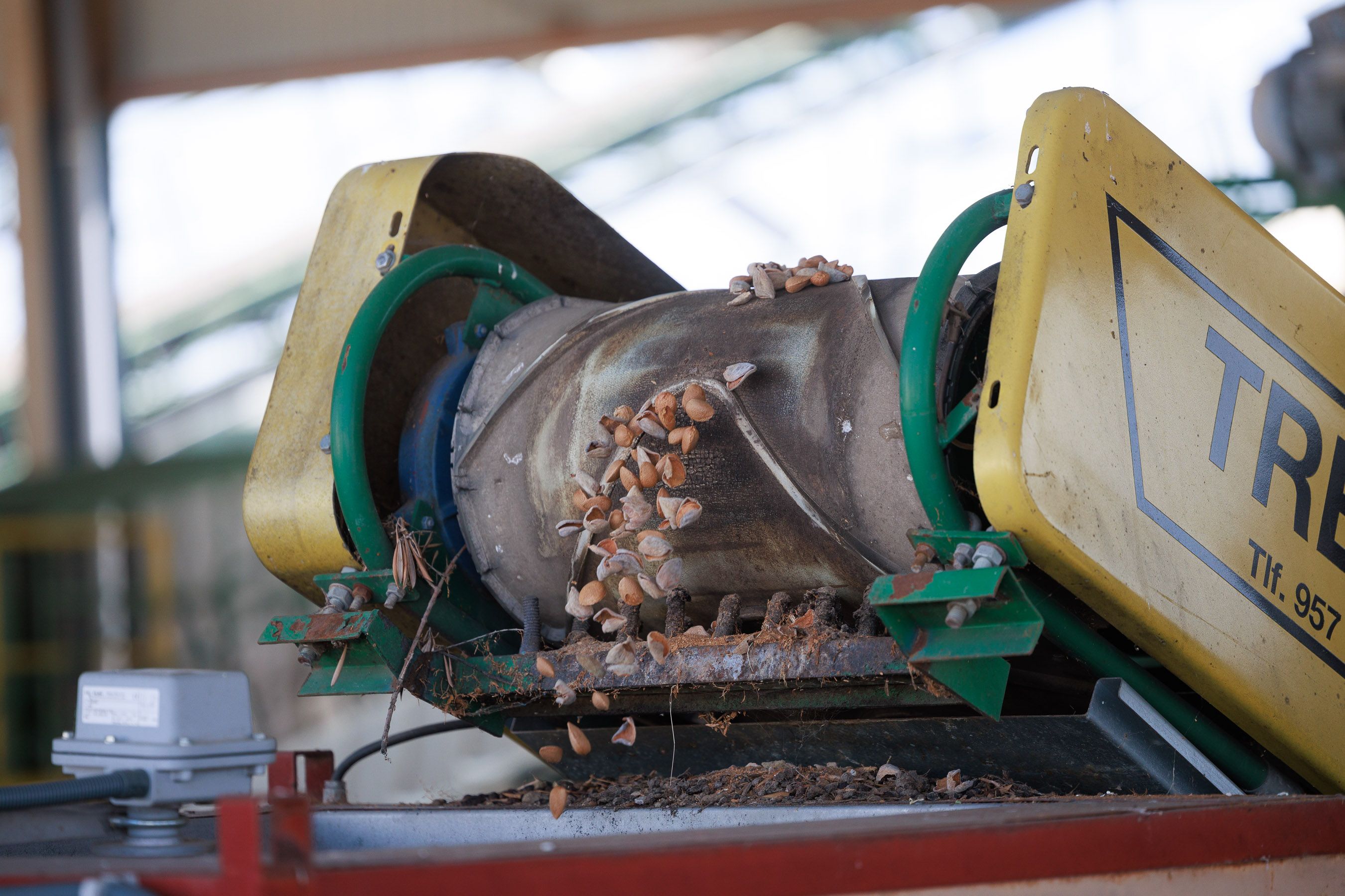 La recolección de la almendra en Cooperativa Los Remedios