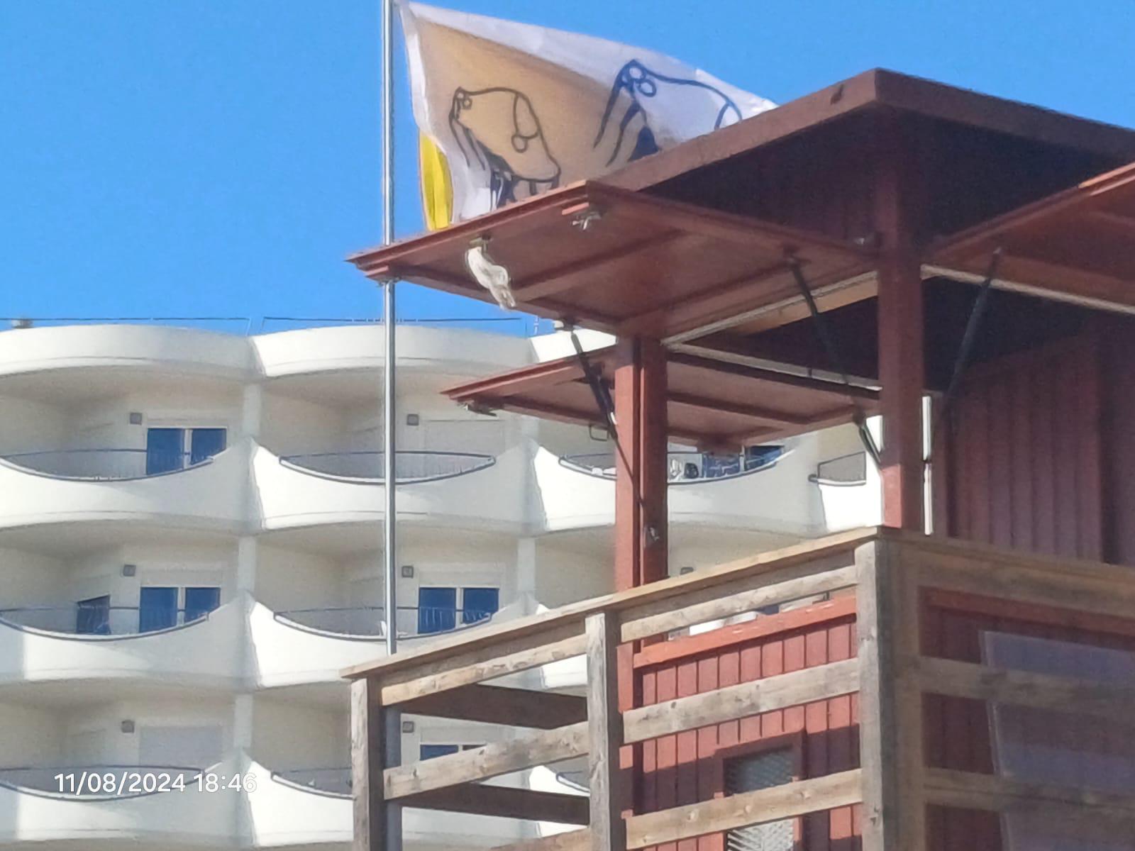 Las banderas colocadas por el Ayuntamiento de Cádiz.