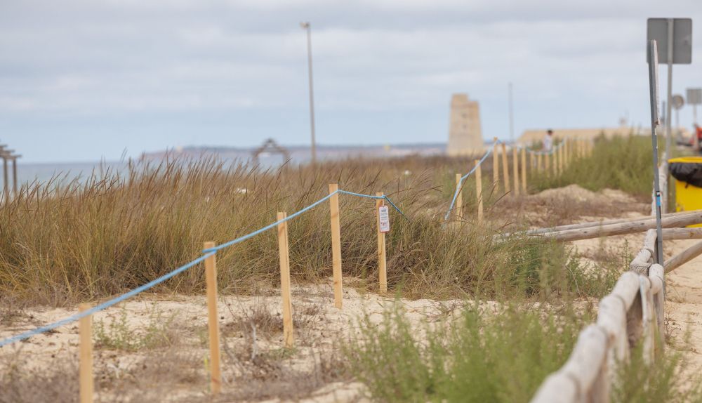 Dunas El Palmar  6