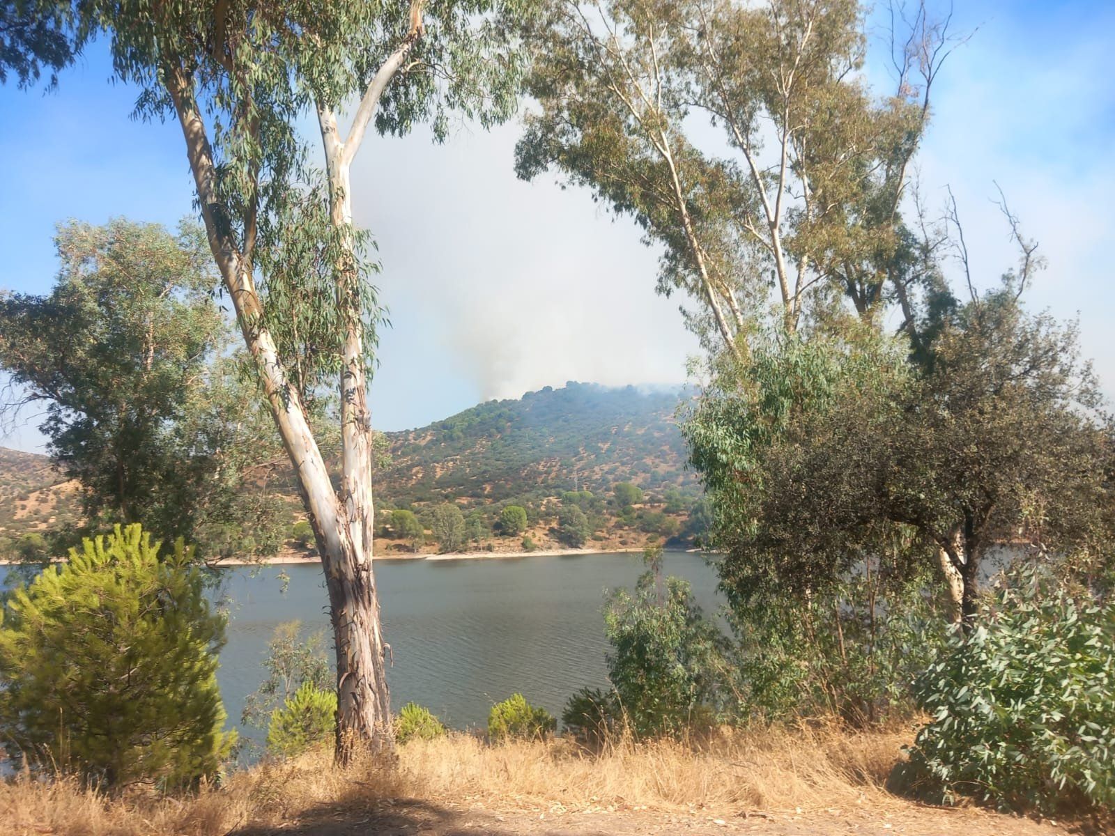 Imagen del incendio forestal de Andújar compartida por el Infoca en redes sociales.