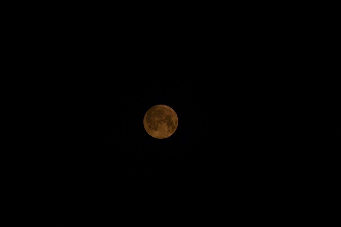 Hoy es precisamente lunes, el 'cumplesemanas' de Luna.