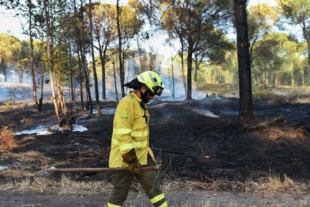 Un profesional del Infoca, en el incendio de Bonares, en la provincia de Huelva.