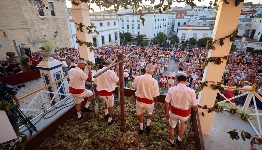 Los pisadores crean el nuevo mosto bajo la atenta mirada del público en fachada principal de la Catedral