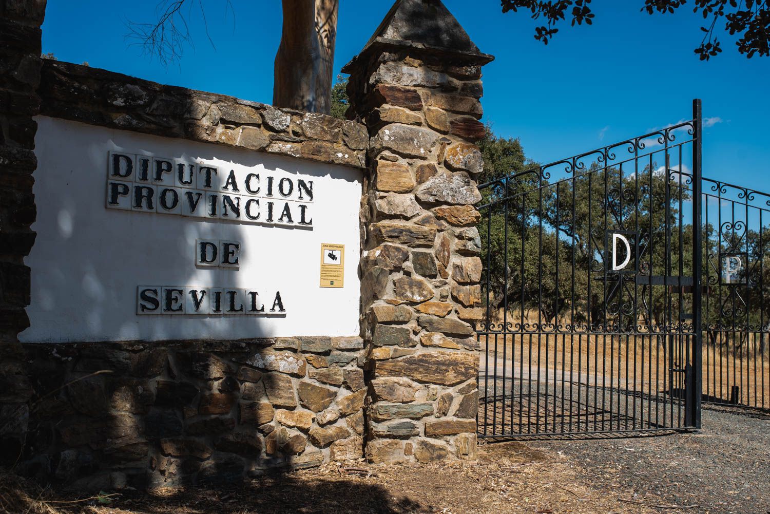 La finca Monte San Antonio, en Cazalla de la Sierra, dispone de 386 hectáreas y es propiedad de la Diputación de Sevilla. OVEJA CHURRA LEBRIJANA CHURRA MARISMEÑA DIPUTACIÓN SEVILLA CAZALLA ALVARO ROMERO 20