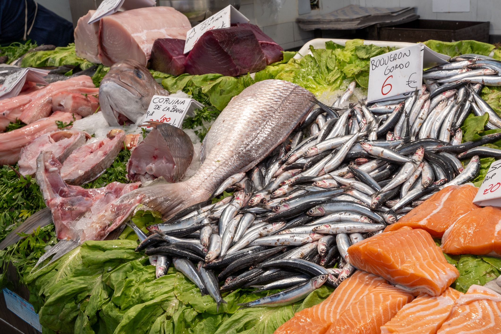 Mercado de Abasto Cádiz   Pescado