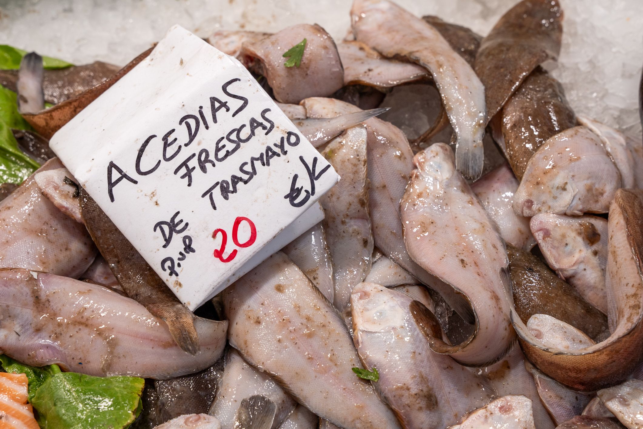 Mercado de Abasto Cádiz   Pescado