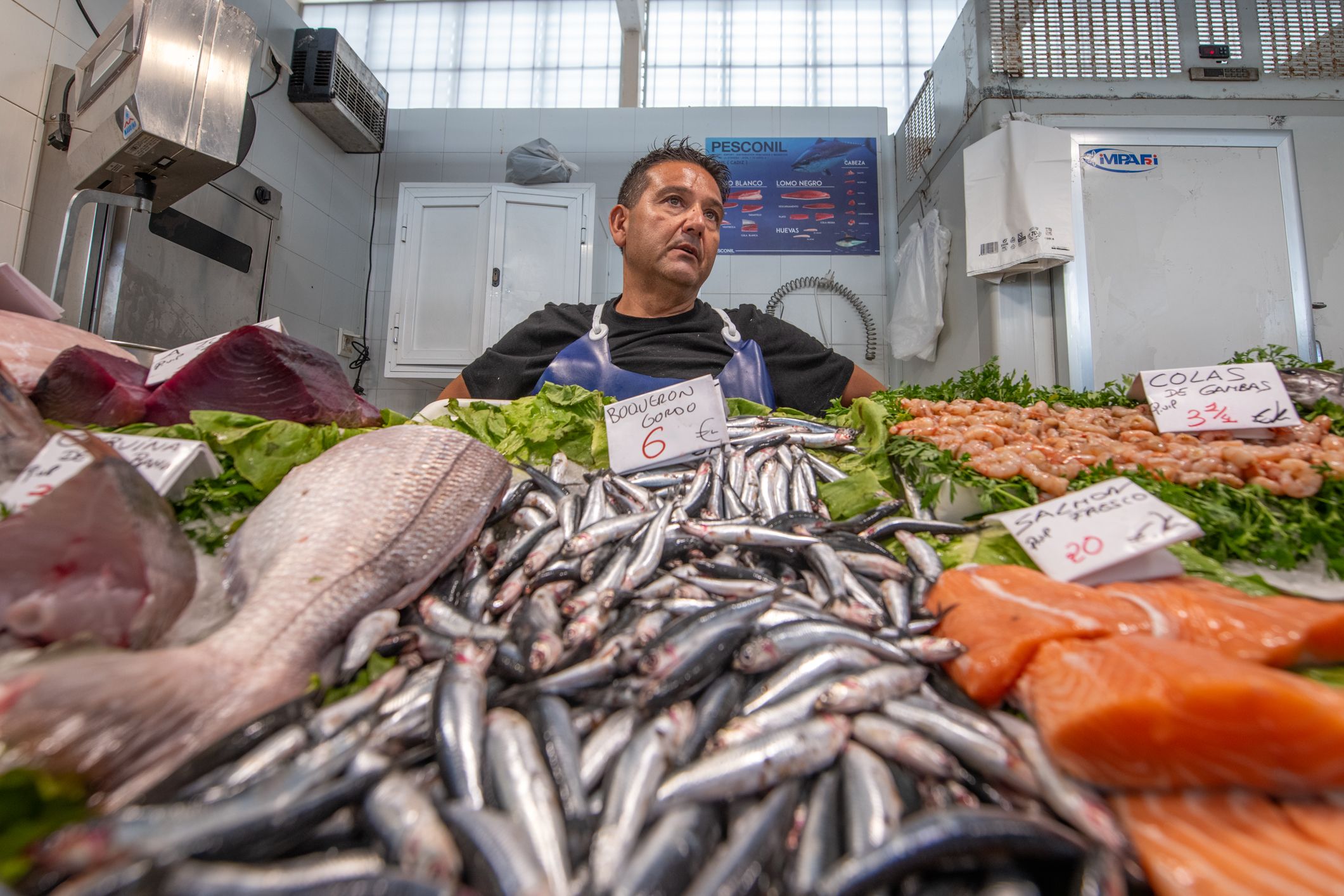 Mercado de Abasto Cádiz   Pescado