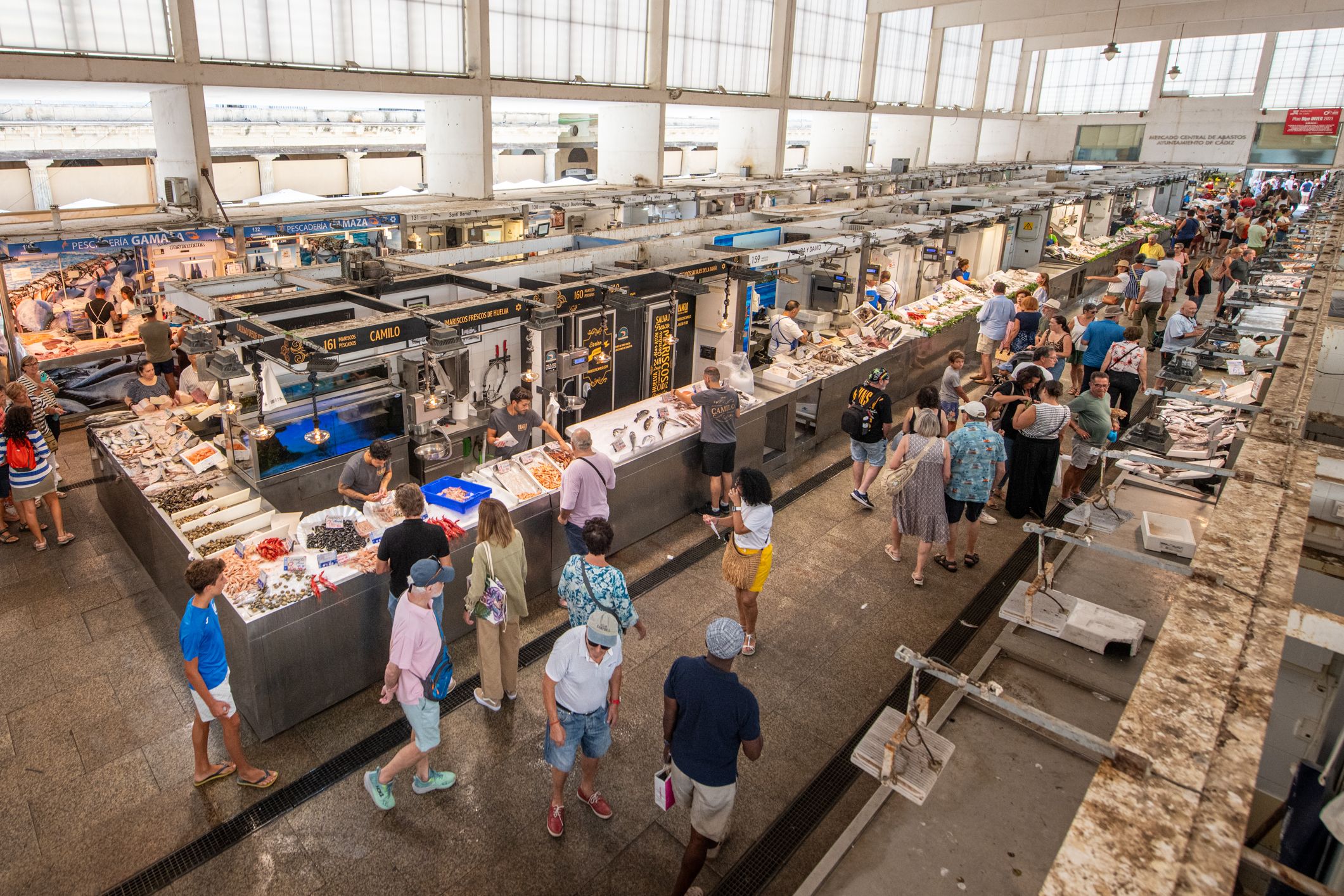 El área de marisco y pescado fresco en el Mercado Central de Cádiz, esta primera semana de septiembre.  REYNA