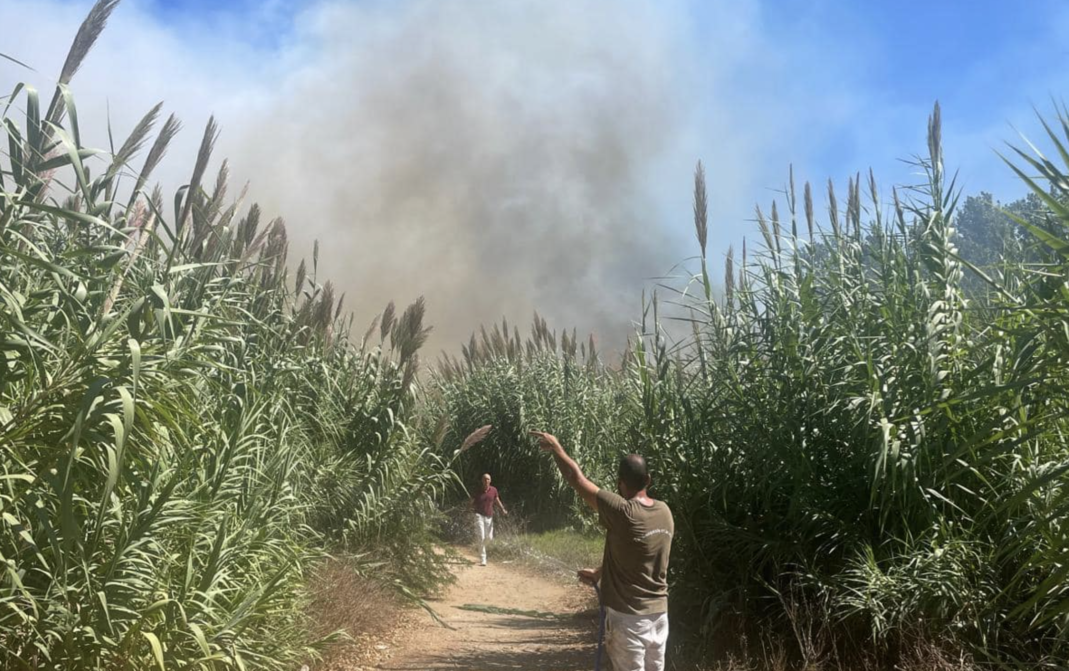 Nuevo incendio en la zona del Cañaveral, en La Línea.