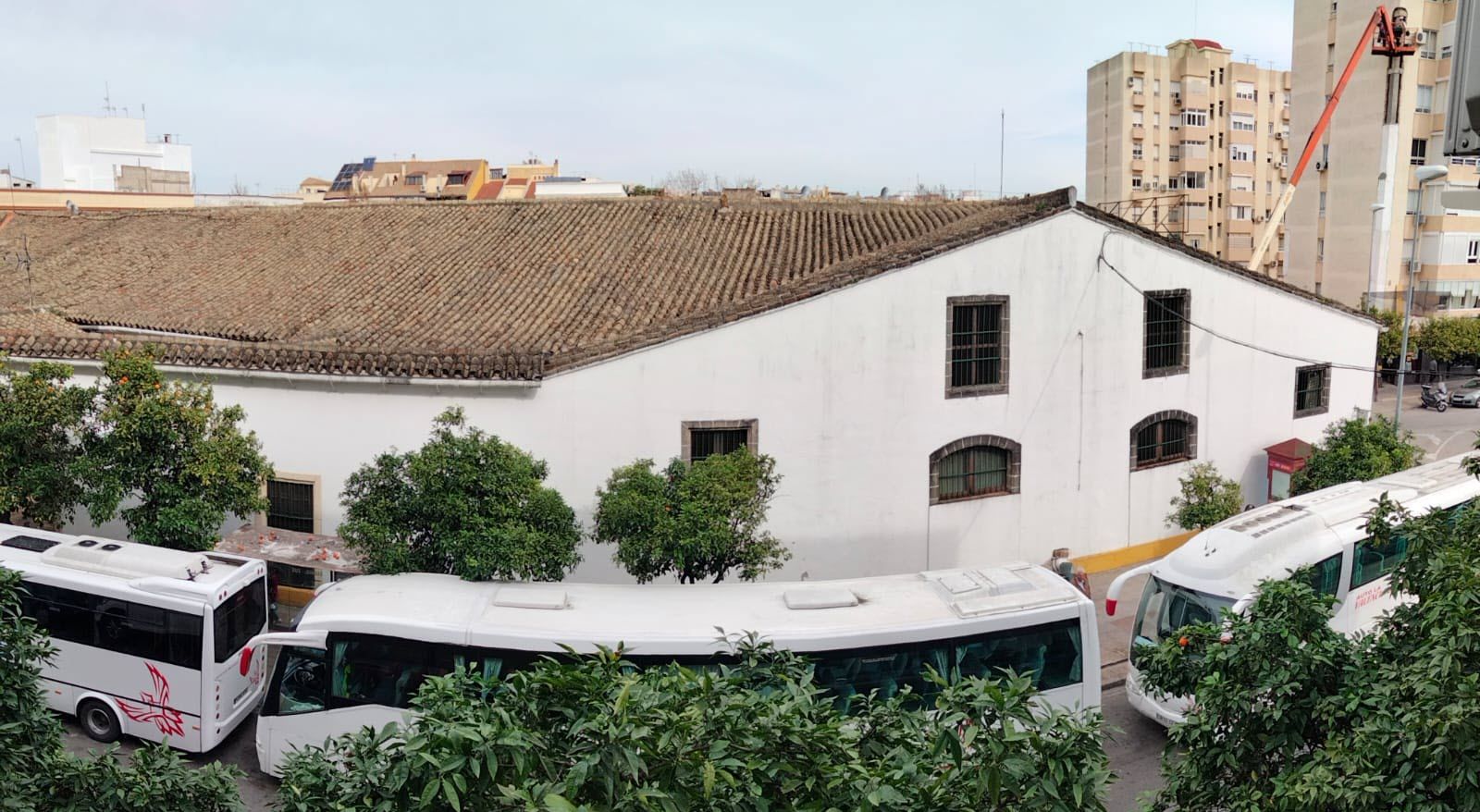 Autobuses que van a pedanías, en la calle Diego Fernández Herrera de Jerez, en una fotografía de archivo.