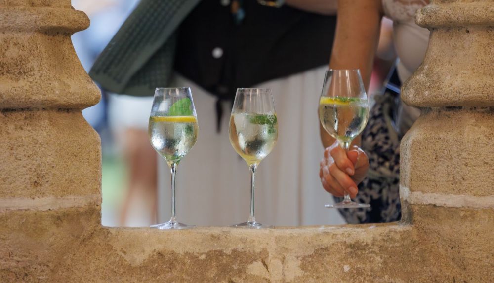 Unas copas de blanco entre los arcos de los Claustros.