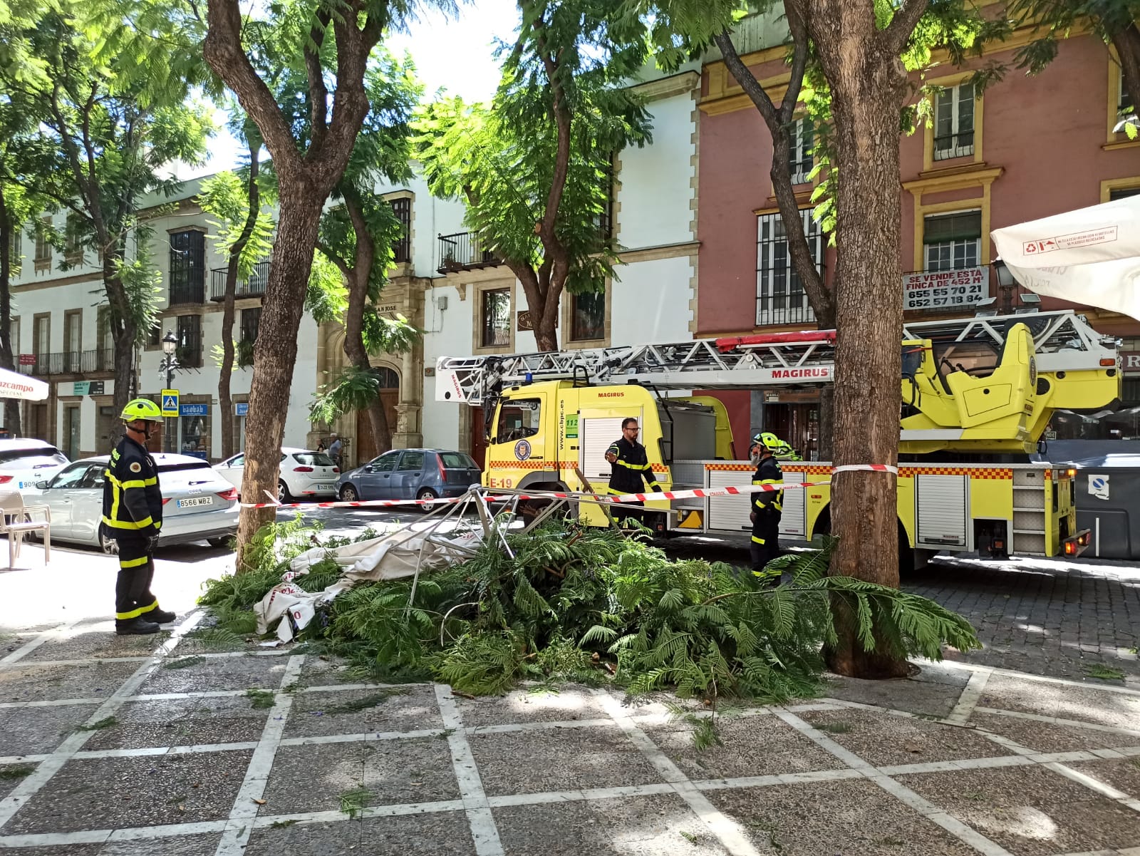 Bomberos trabajan en Porvera tras la caída de una rama.