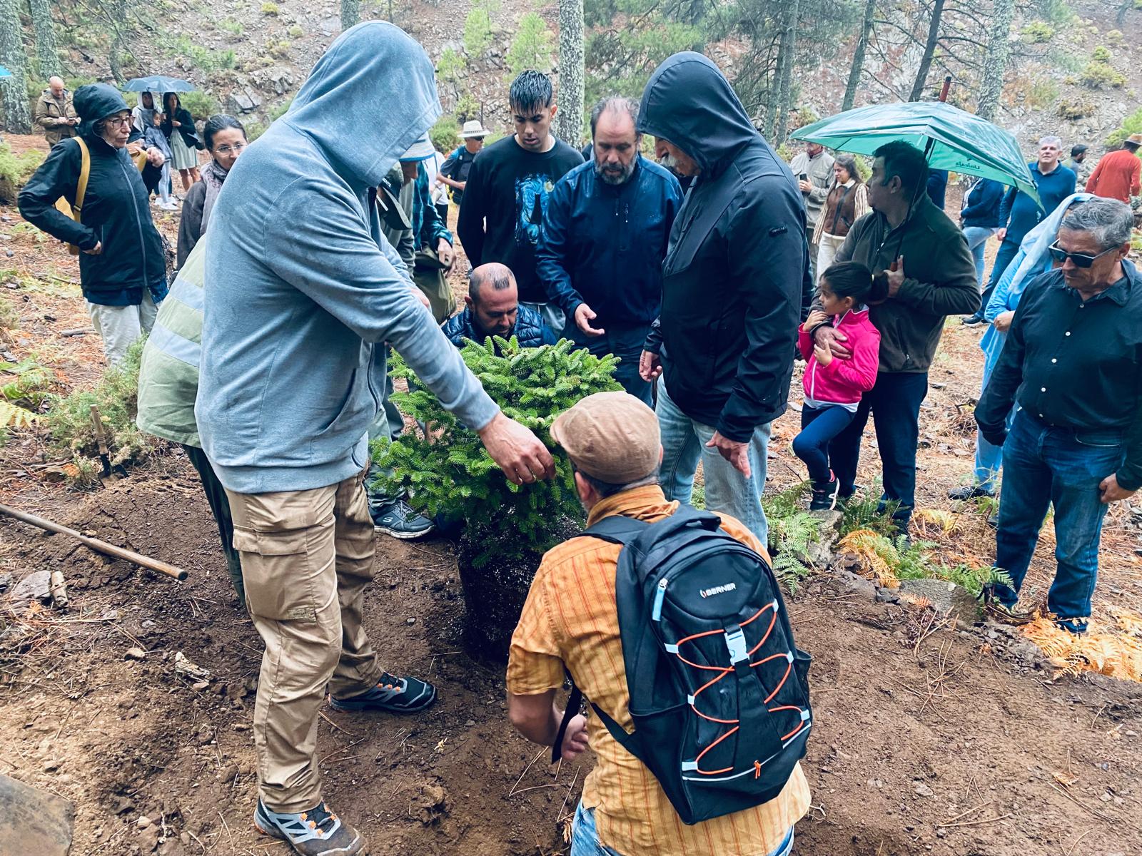 Los ecologistas plantan un pinsapo sobre las cenizas del rondeño Juan Terroba en la Sierra de Las Nieves, Málaga.