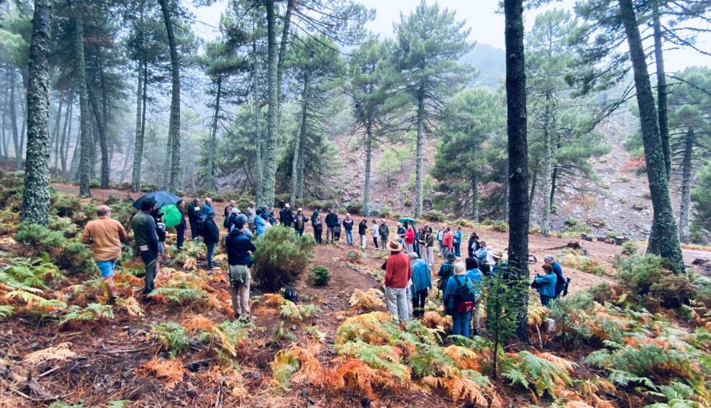 Homenaje en la Sierra de Las Nieves.