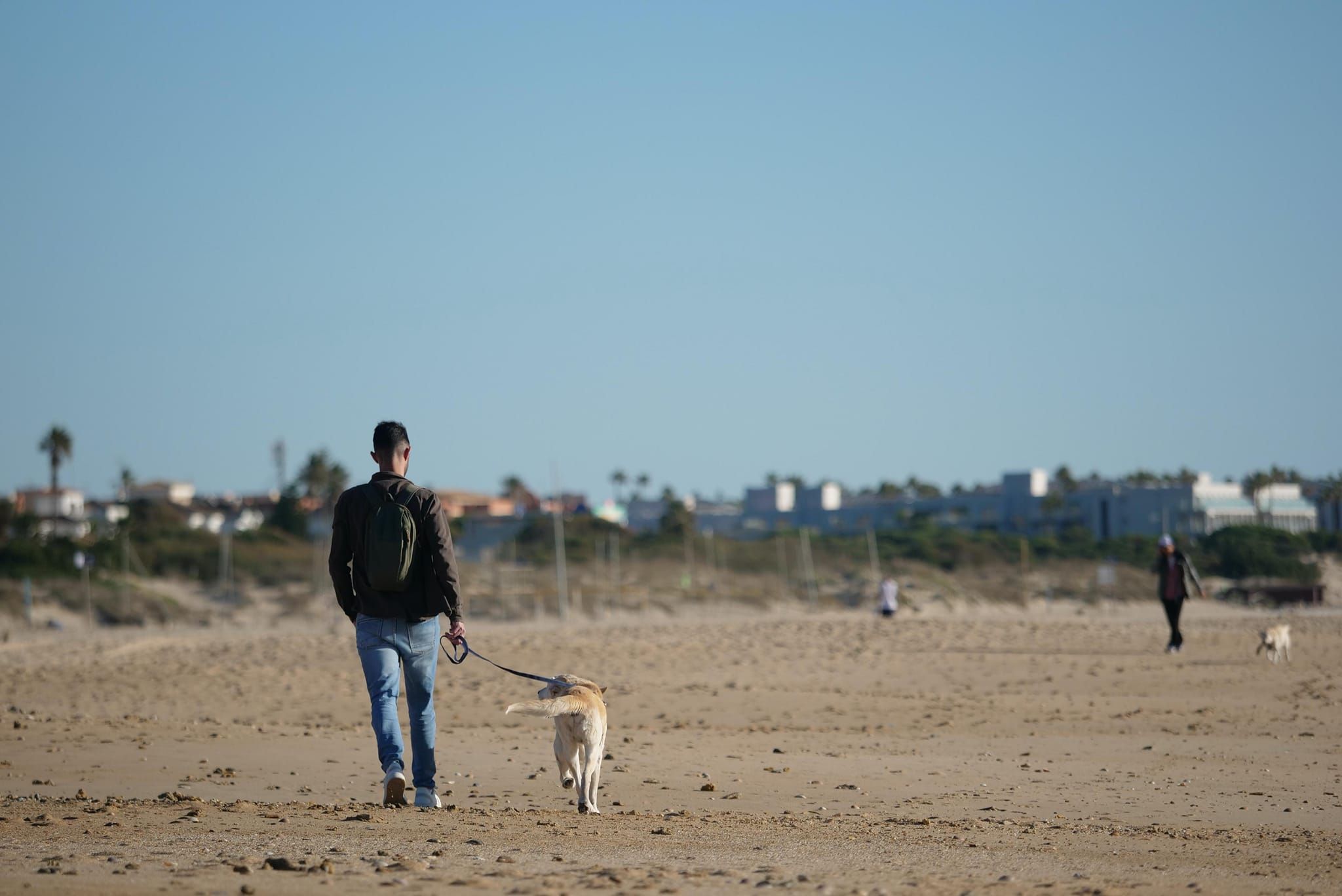 Una persona pasea con su perro por la playa de La Barrosa en Chiclana.