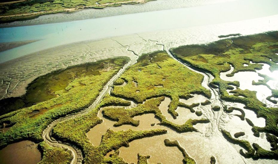 Hábitats de Huelva y Almería. Imagen de las marismas del Parque Natural del Odiel.