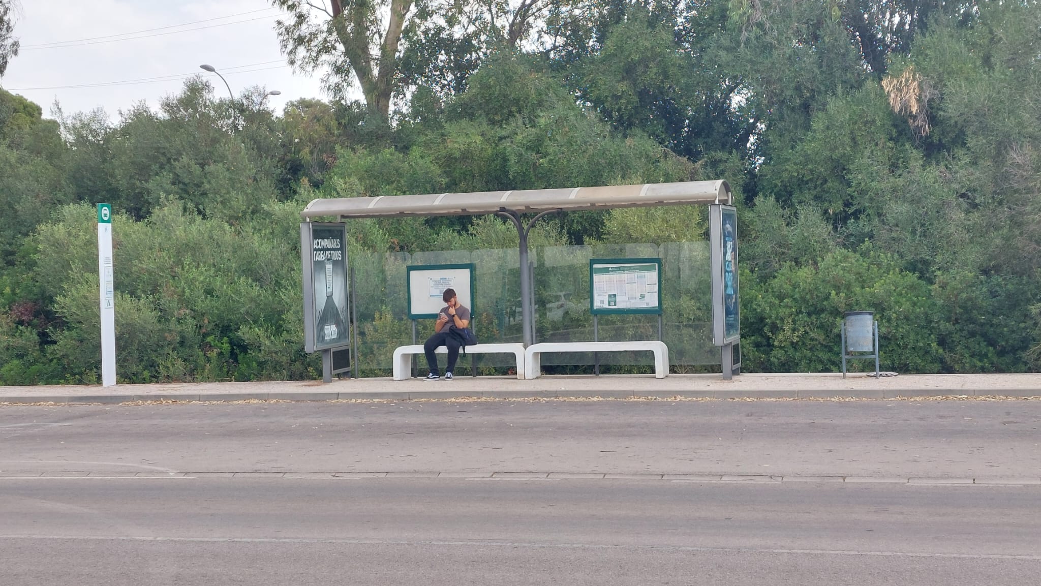 La Junta refuerza el transporte entre los campus universitarios de Cádiz, Jerez y Puerto Real.