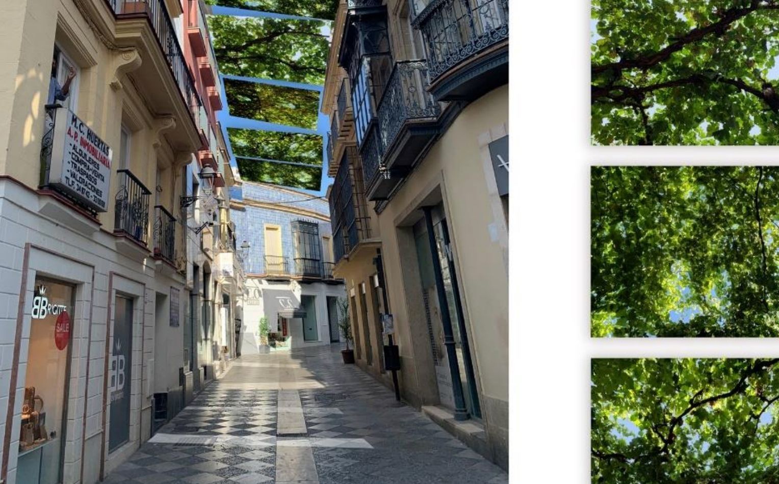 El espectacular cielo de parras con el que contará la calle Algarve de Jerez.