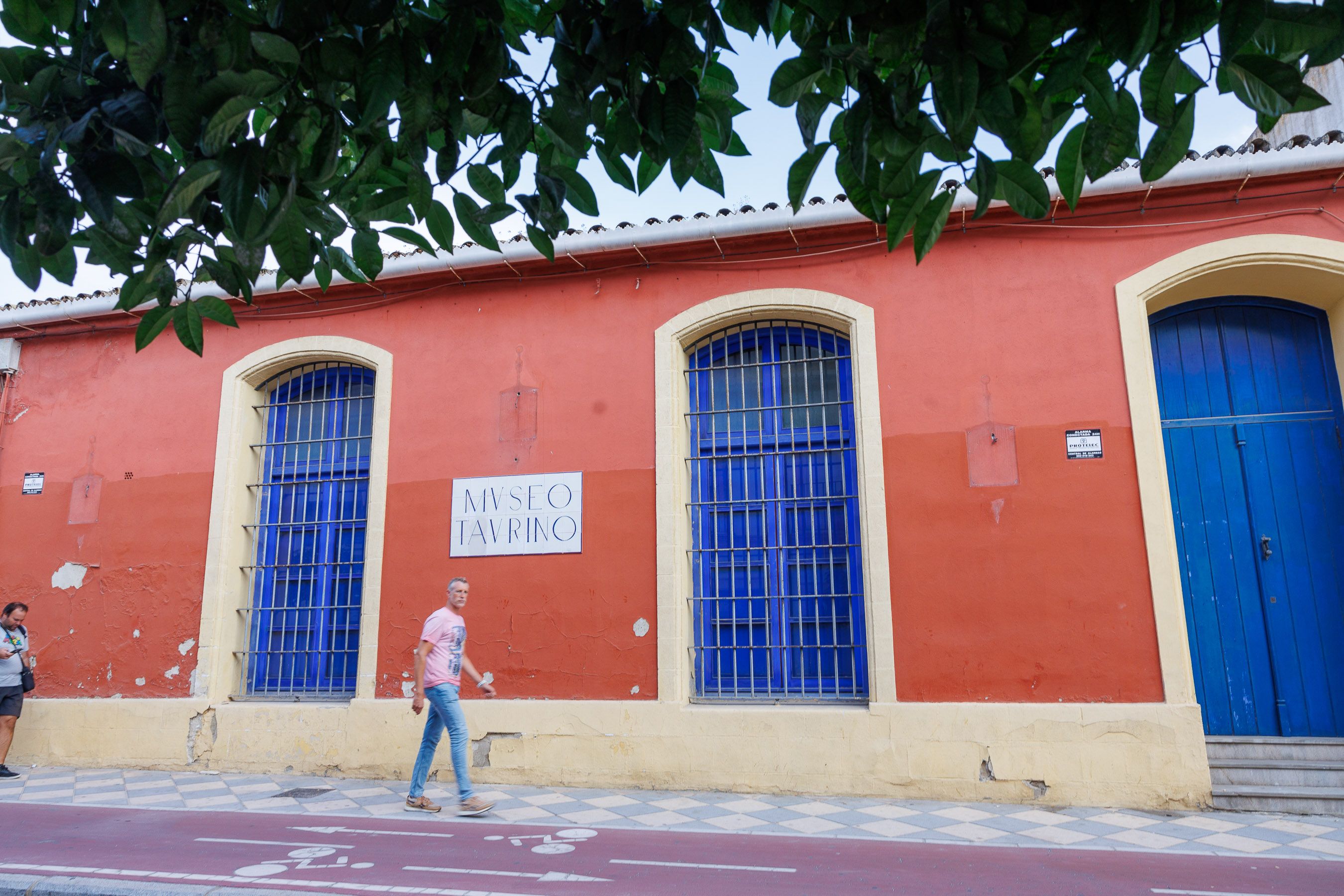 El Museo Taurino, sin uso, será cedido a la Cámara de Comercio de Jerez.