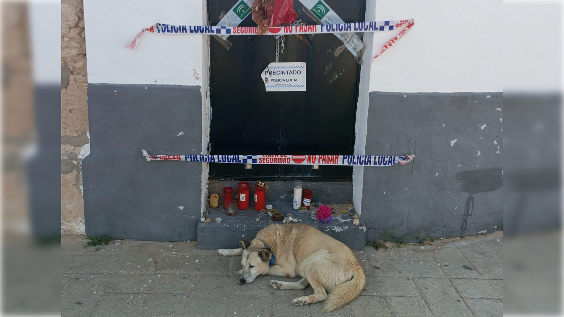 Remo, delante de la puerta del hombre con el que paseaba.