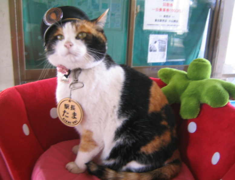 Tama, una gata jefa de estación en Japón.