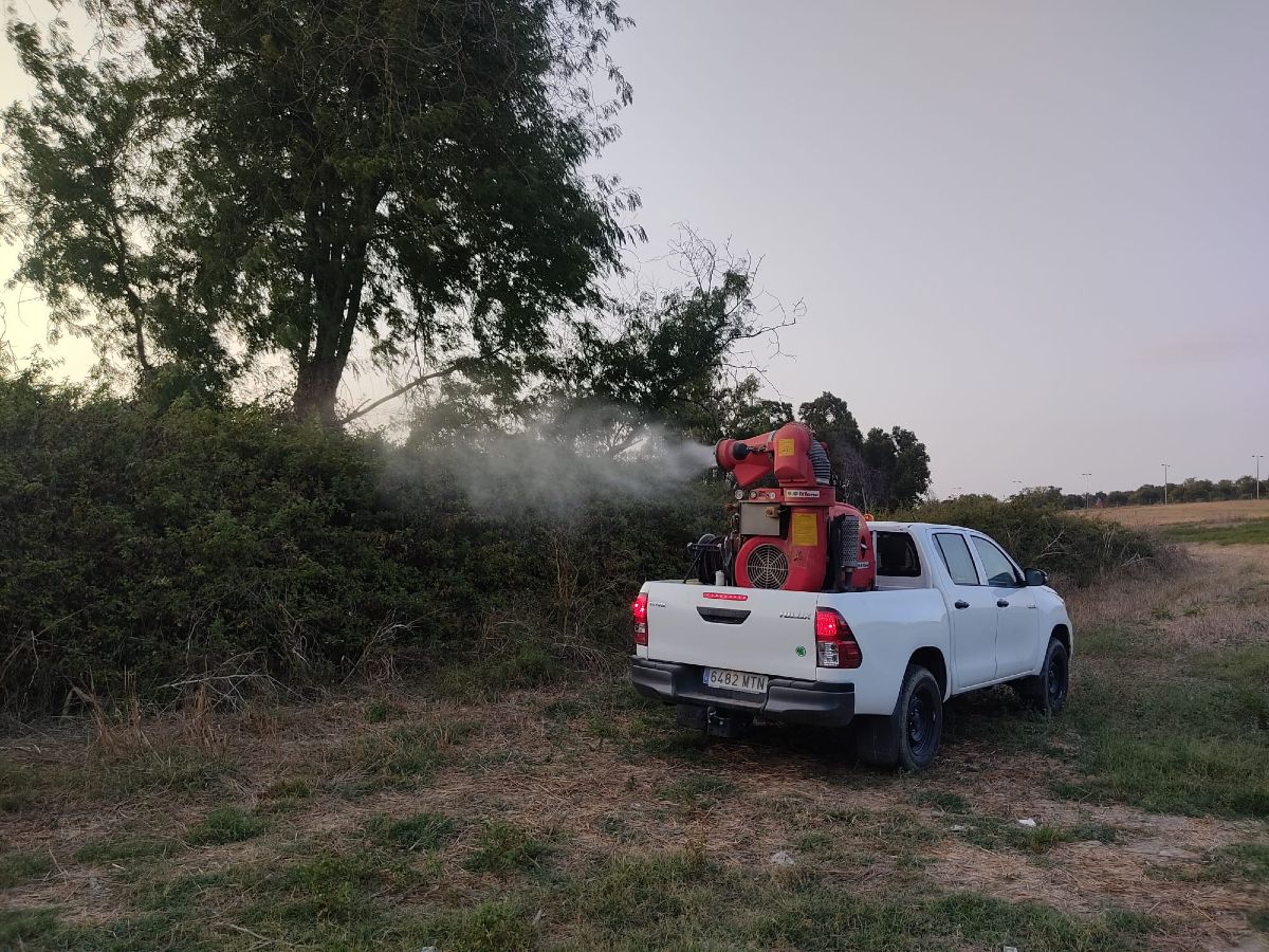 Eliminación de mosquitos en Mairena del Aljarafe, el pasado mes de agosto, para hacer frente al virus del Nilo.