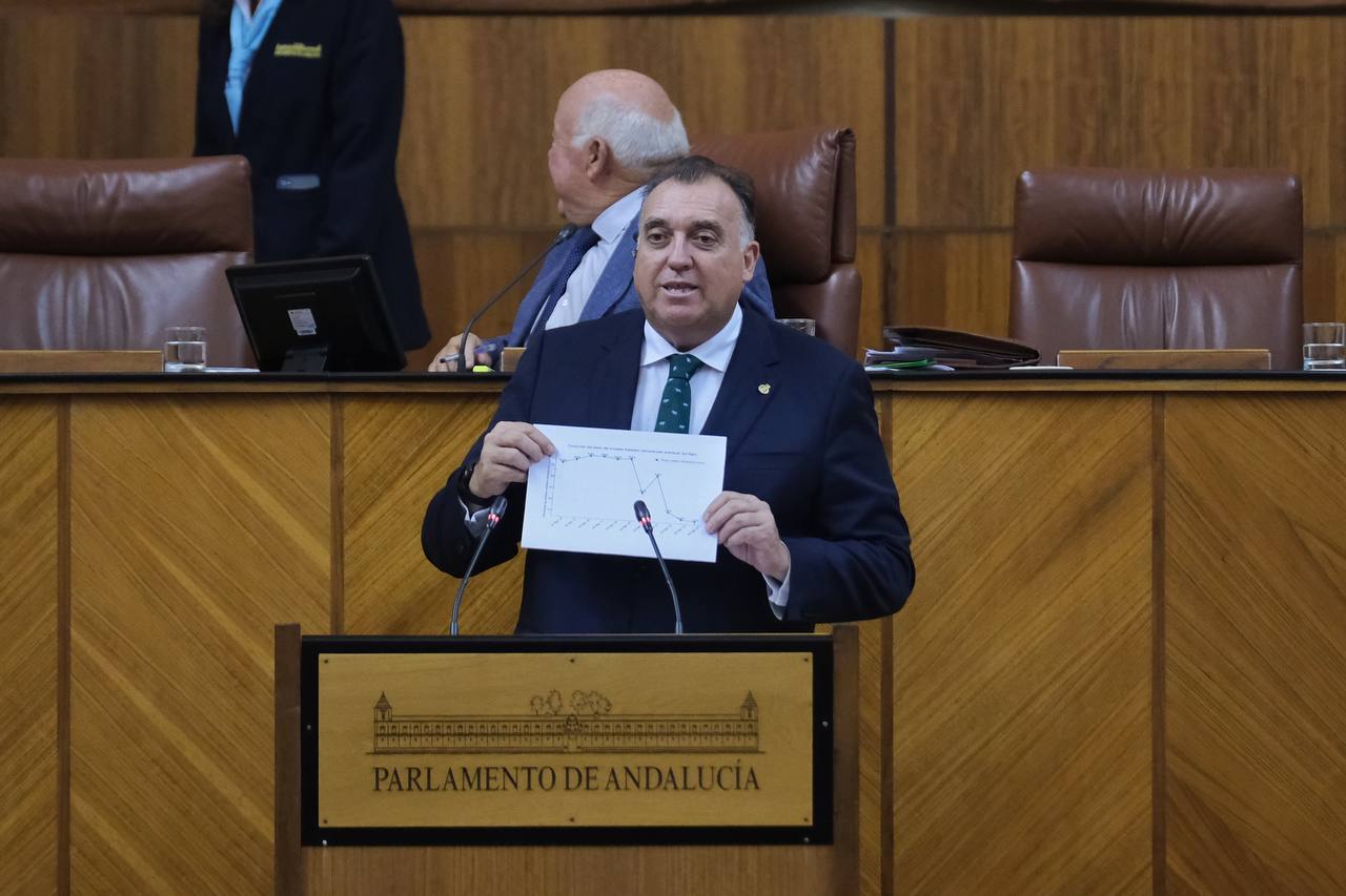 Arturo Bernal, consejero de Turismo, en el Parlamento, donde ha hablado del cambio de tendencia en el sector.