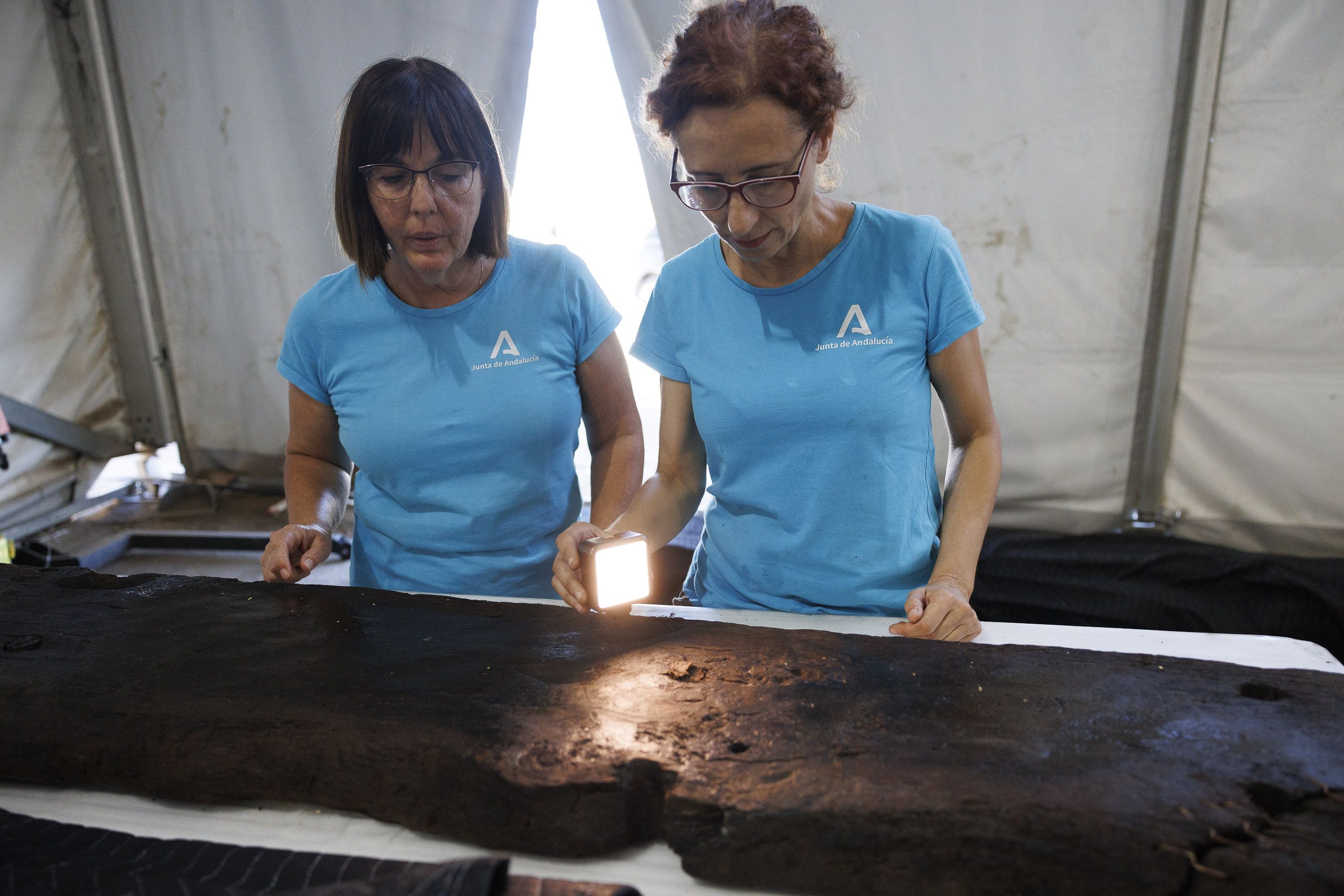 El pecio del XVII rescatado del puerto de Cádiz.