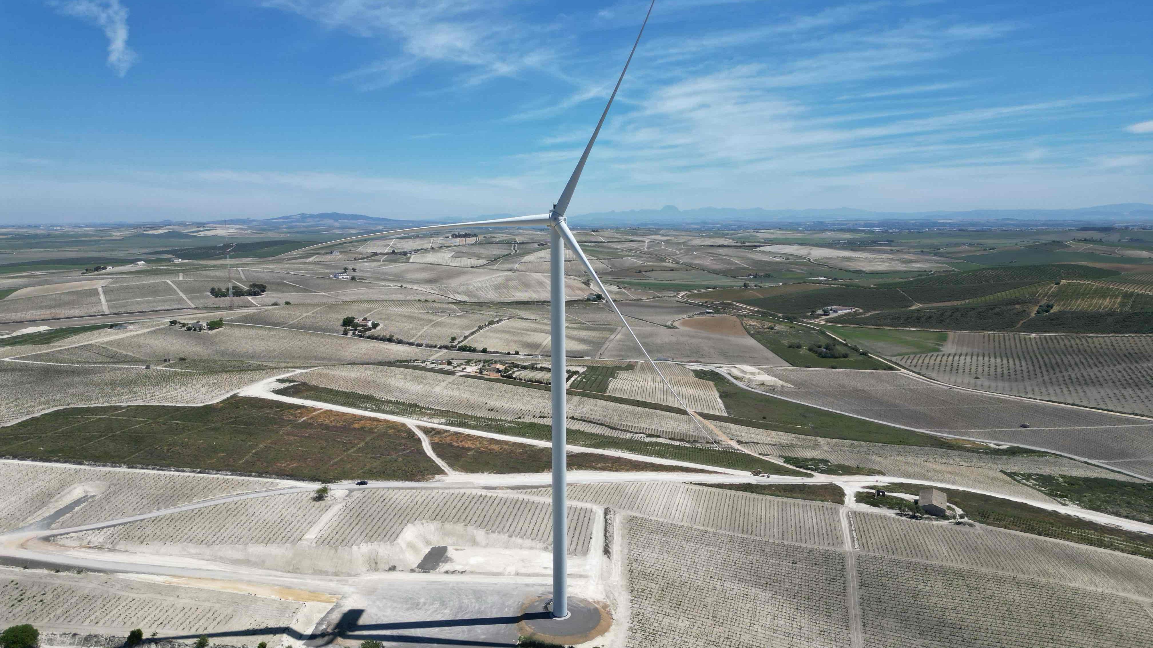 La finca El Barroso, un paisaje de viña de Jerez donde hay instalada energía eólica.