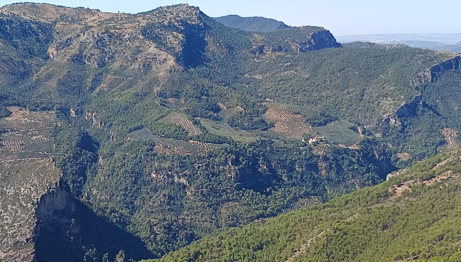 Un artículo sobre la defensa y la promoción de la agricultura ecológica.