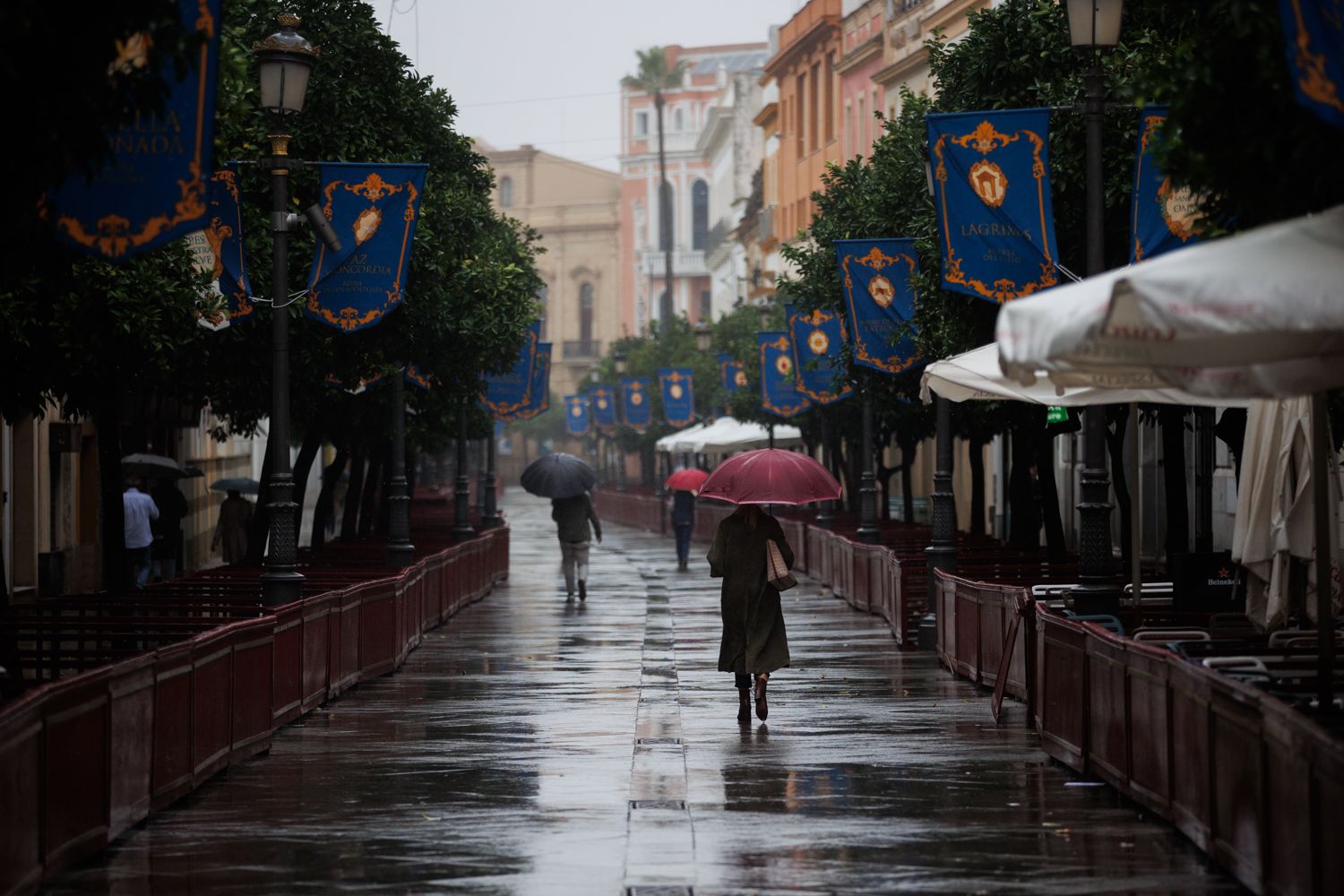 La Magna de Jerez. Gente pasea por la calle Larga de Jerez, ya preparada para la procesión.