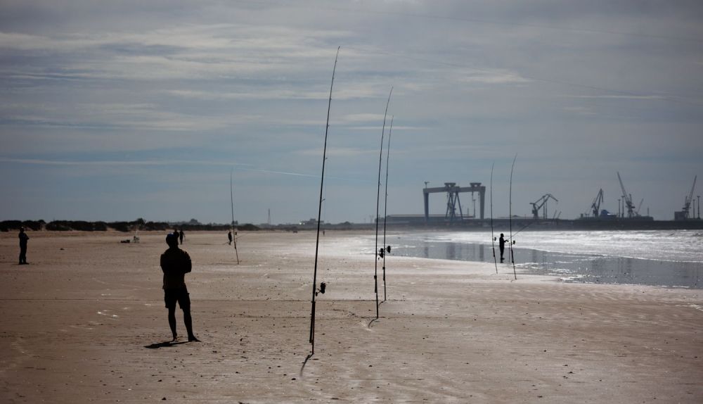 Los pescadores esperan pacientes a los guitarrones.