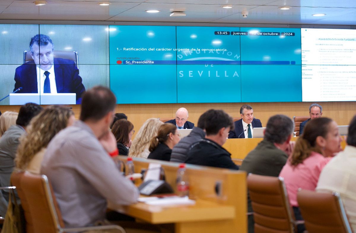 Pleno de la Diputación de Sevilla.