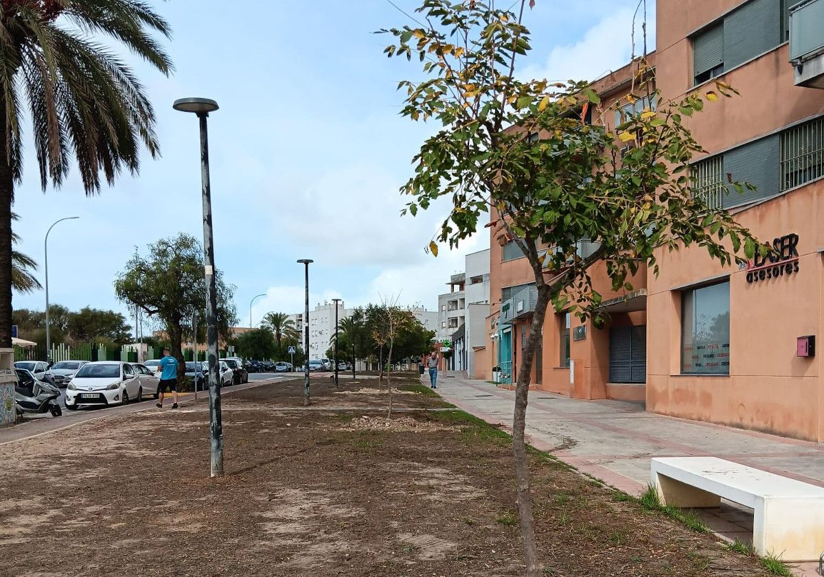 La barriada de Casines será la primera en tener un corredor de sombra.