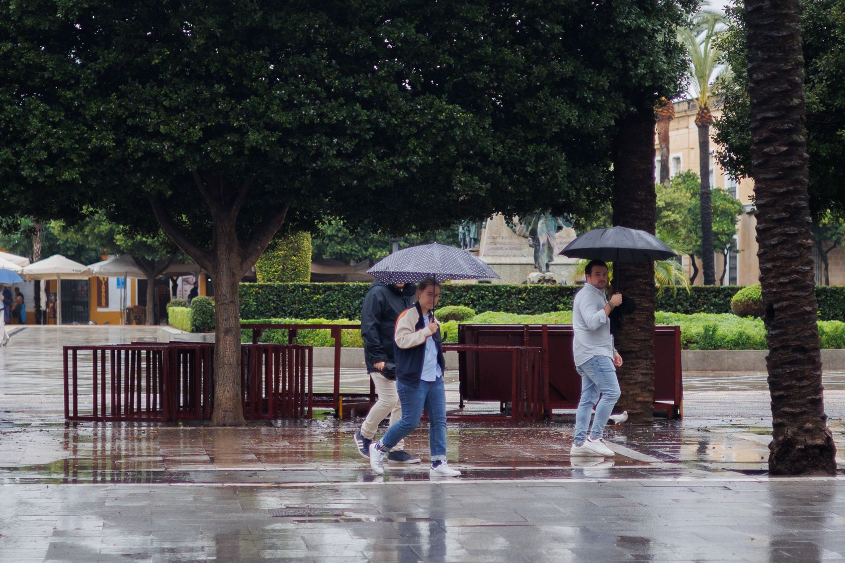 Imágenes de la lluviosa No-Magna de Jerez.