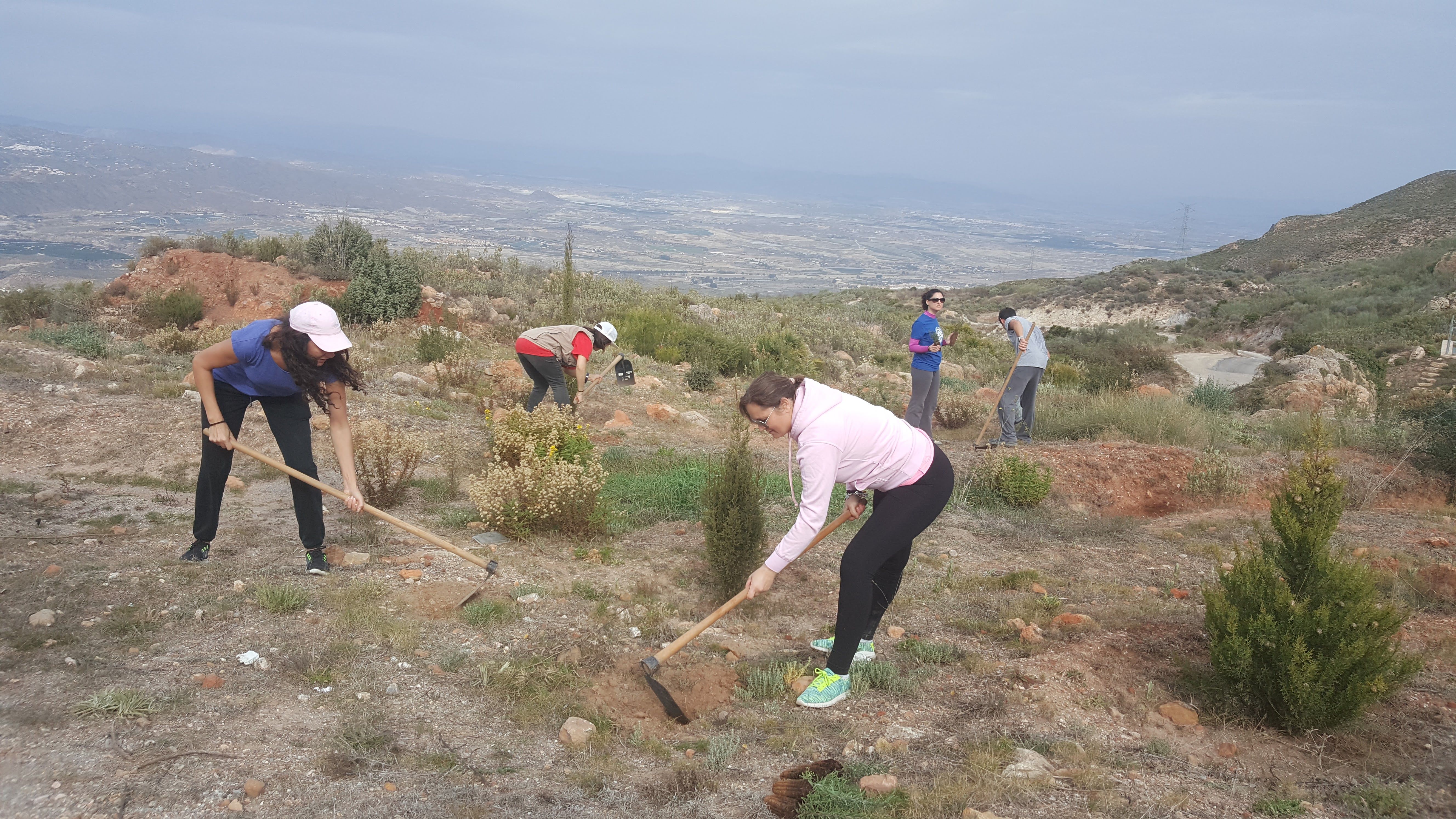 Un grupo de voluntarios reforestando en Sierra Cabrera en 2017.