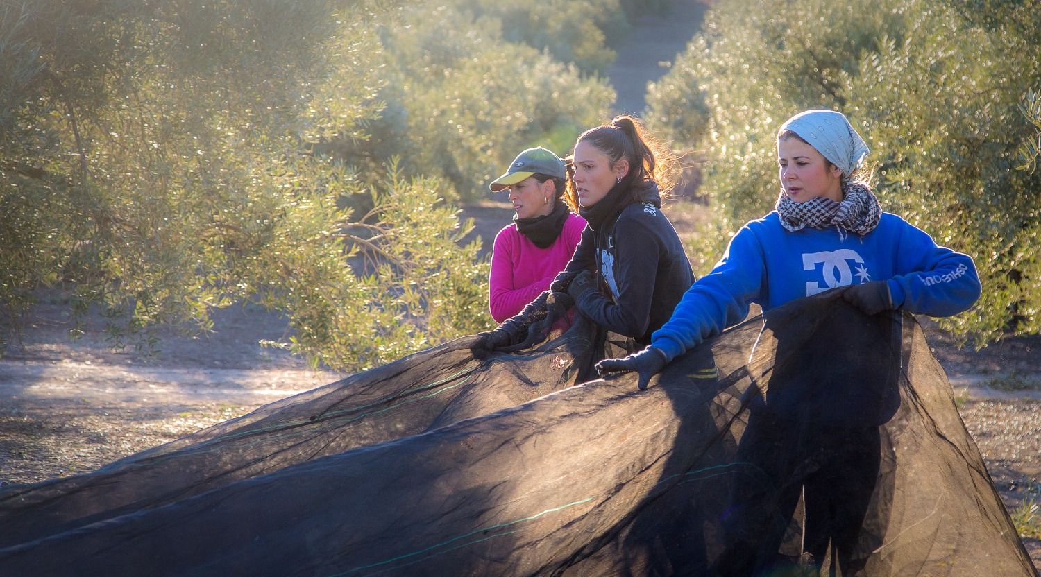 Tres mujeres trabajando en el campo, colectivo que tendrá un estatuto propio.