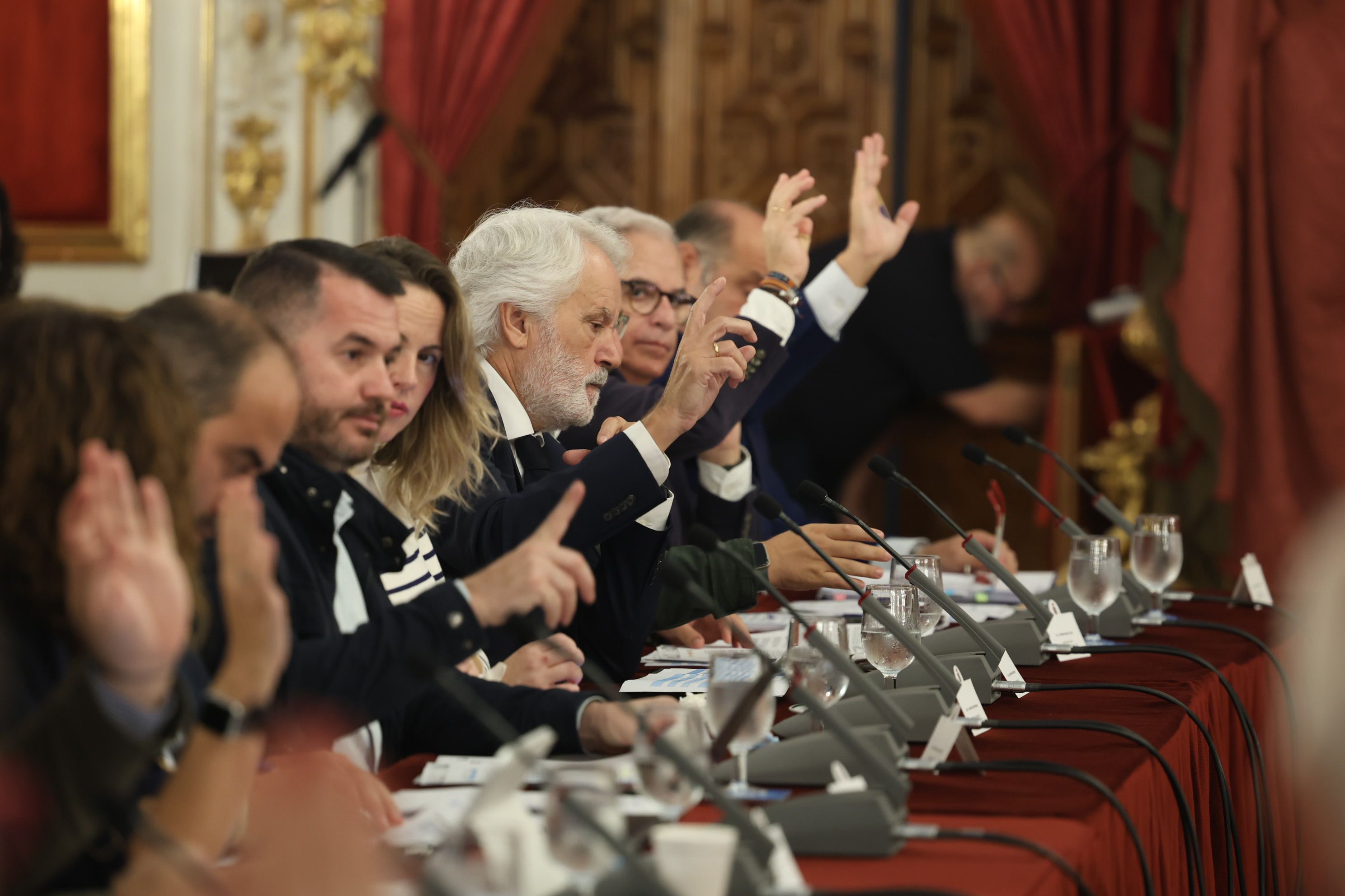 Diputación de Cádiz partidaria de la tasa turística. La bancada popular votando durante el desarrollo del pleno. 