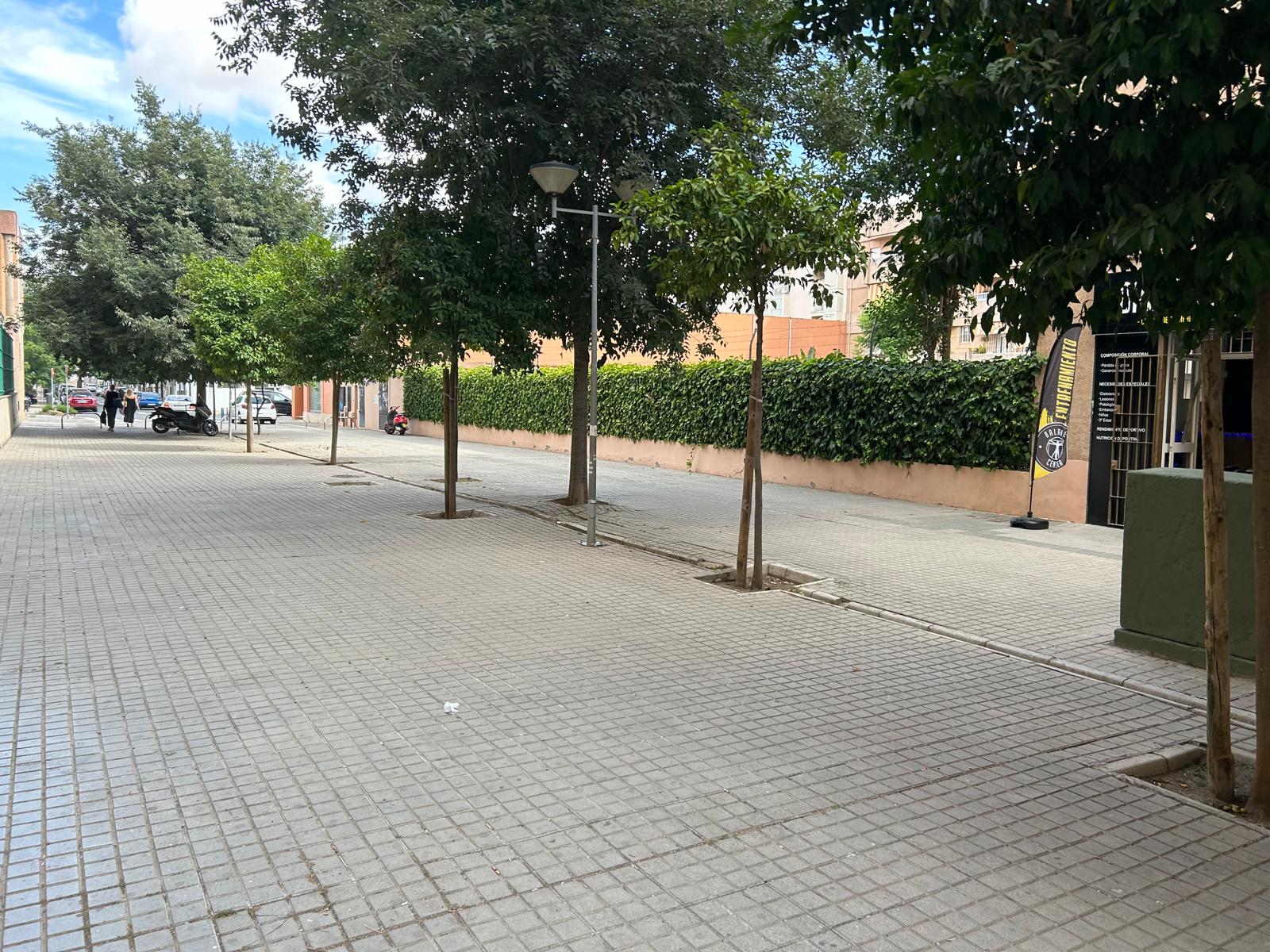 La calle peatonal de Taegu, en Sevilla Este.