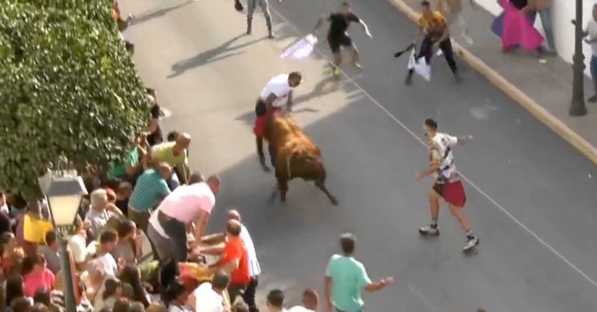 Imagen del momento en el que un hombre es arrollado por un toro en la suelta del Barrio Bajo de Arcos.