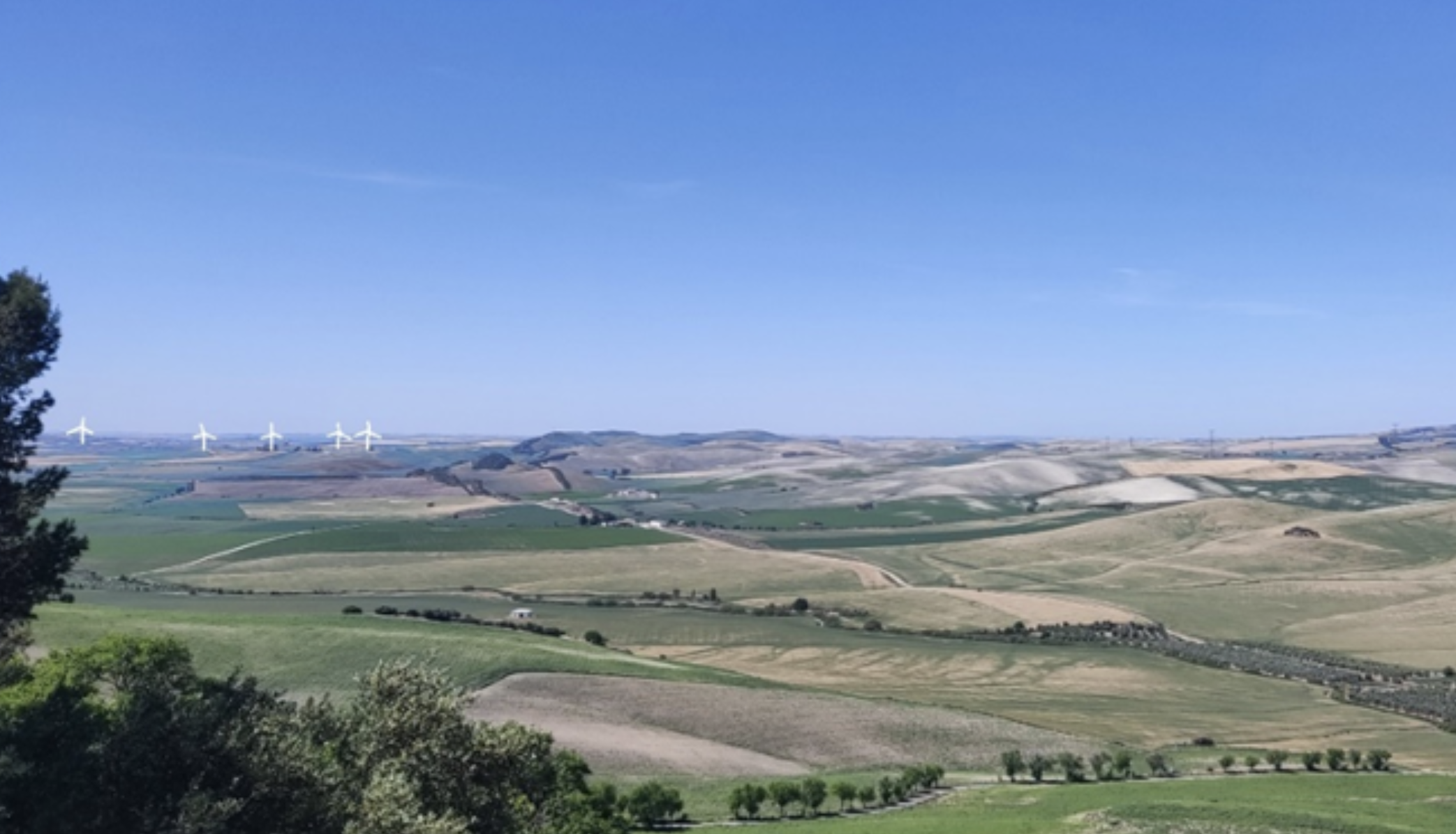 El proyecto 'SolWinHy Cádiz', situado en Arcos de la Frontera, ha recibido la primera autorización ambiental en Andalucía a una planta de hidrógeno y metanol verde.