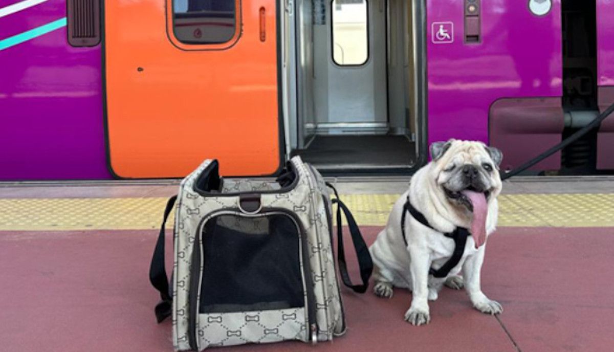 Un perro, a punto de subir a un tren. RENFE