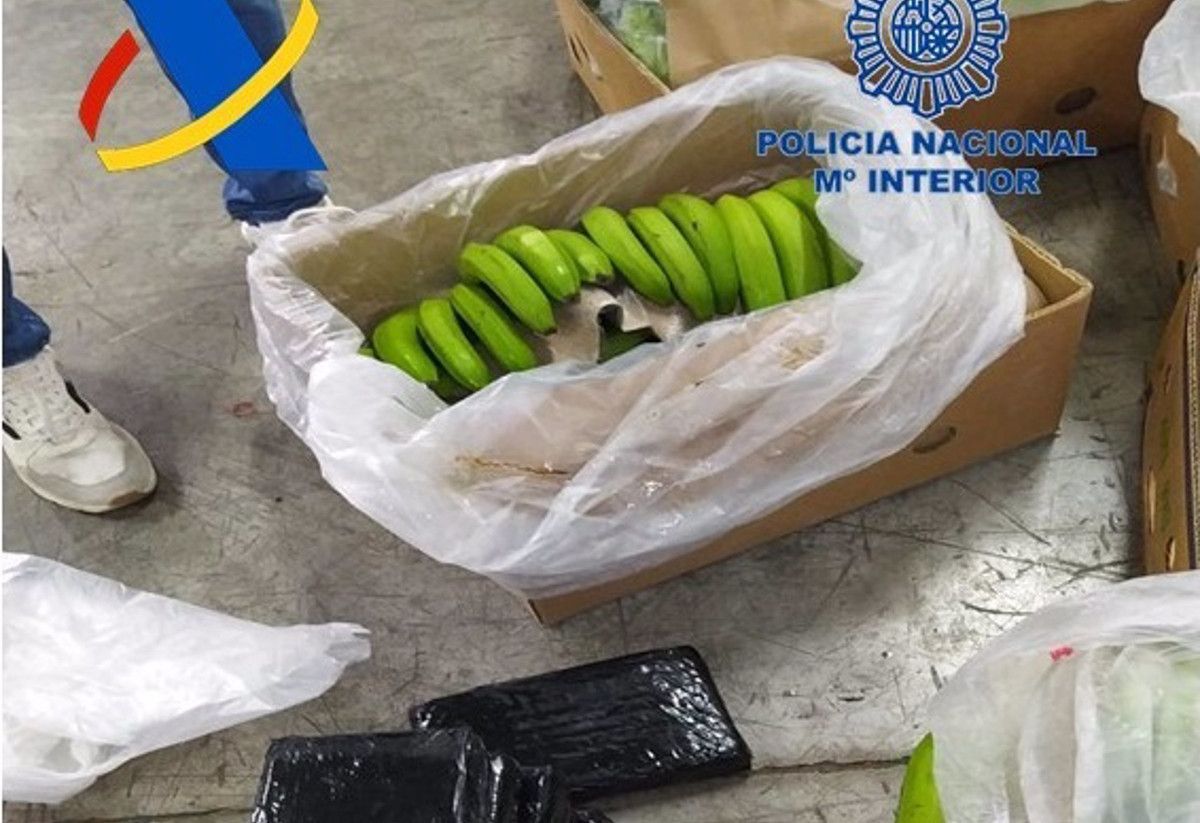 Intervienen 13 toneladas de cocaína escondida entre plátanos en el puerto de Algeciras.